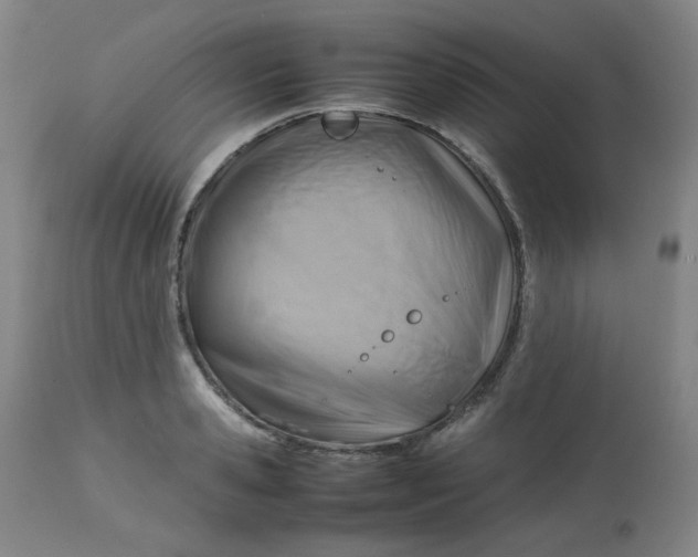 X0000112810941200909111256