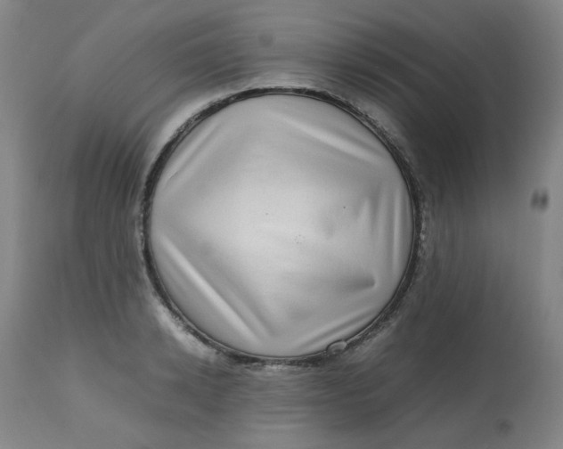 X0000112810942200909111256