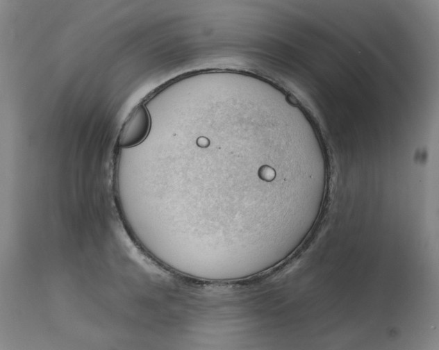 X0000112810944200909111256