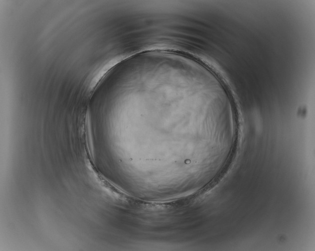 X0000112810945200909111256