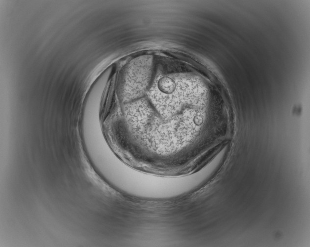 X0000112810946200909111256