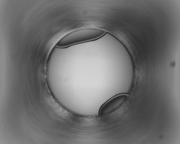 X0000112810948200909111256