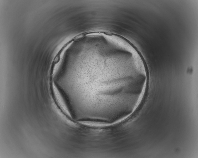 X0000112810949200909111256