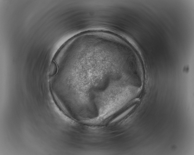 X0000112810951200909111256