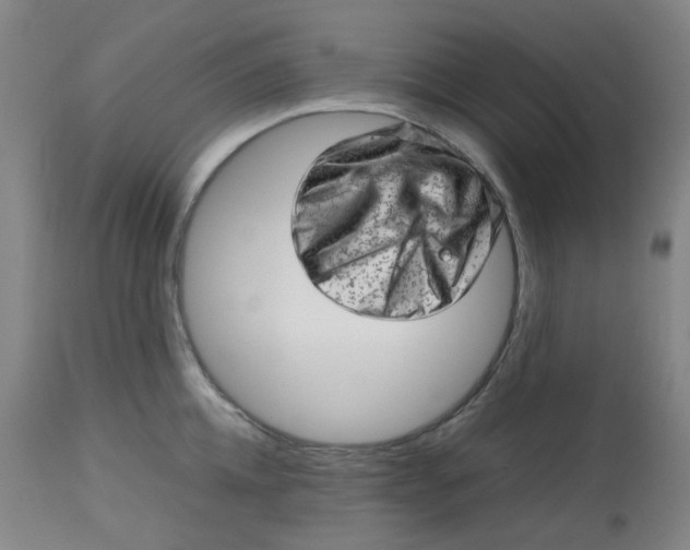 X0000112810952200909111256