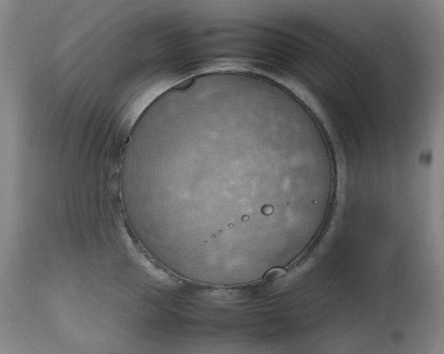 X0000112810953200909111256