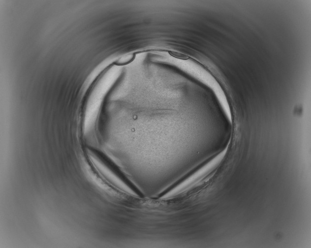 X0000112810955200909111256