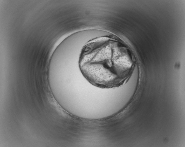 X0000112810956200909111256