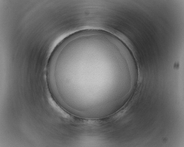 X0000112810958200909111256