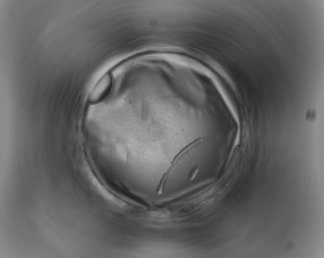 X0000112810959200909111256