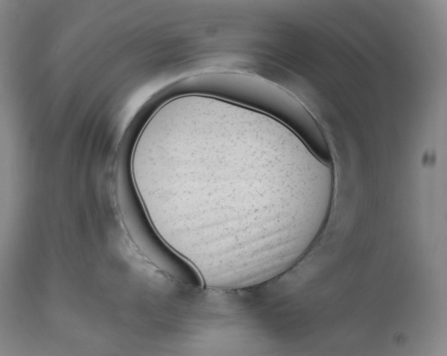 X0000112810960200909111256