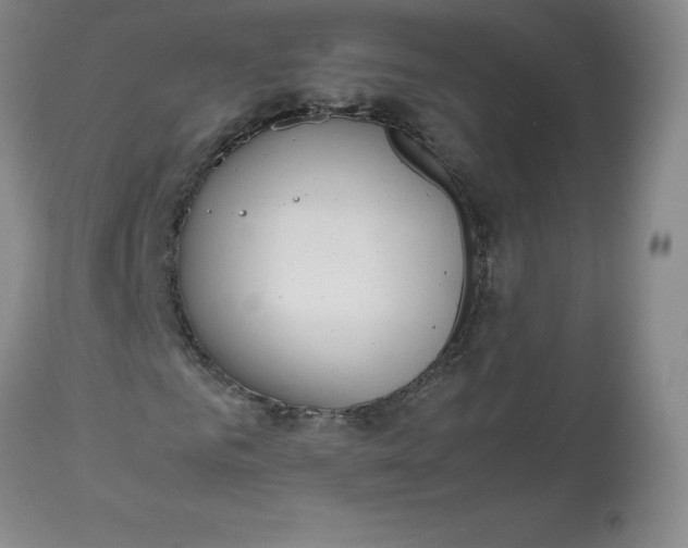 X0000112810961200909111256