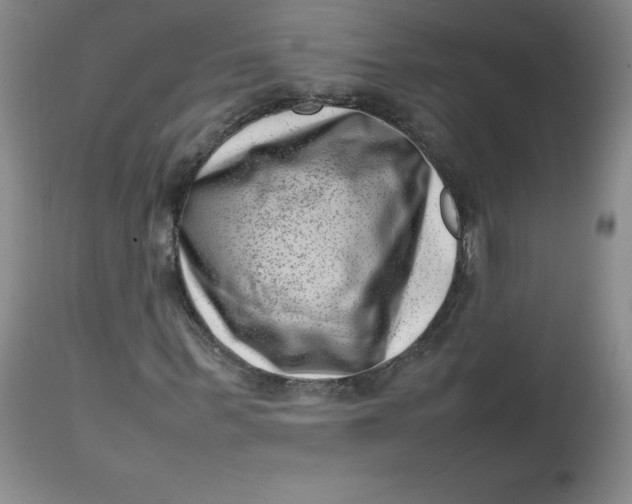 X0000112810963200909111256