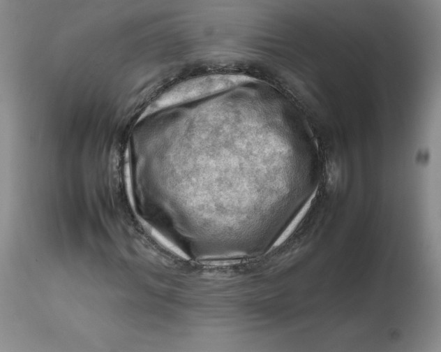 X0000112810964200909111256