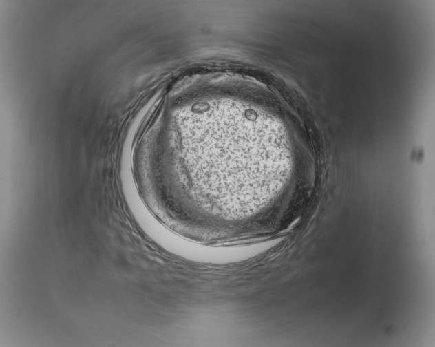 X0000112810965200909111256