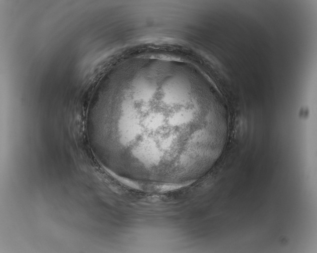 X0000112810966200909111256