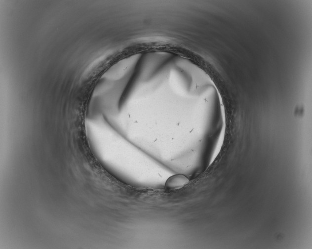 X0000112810967200909111256