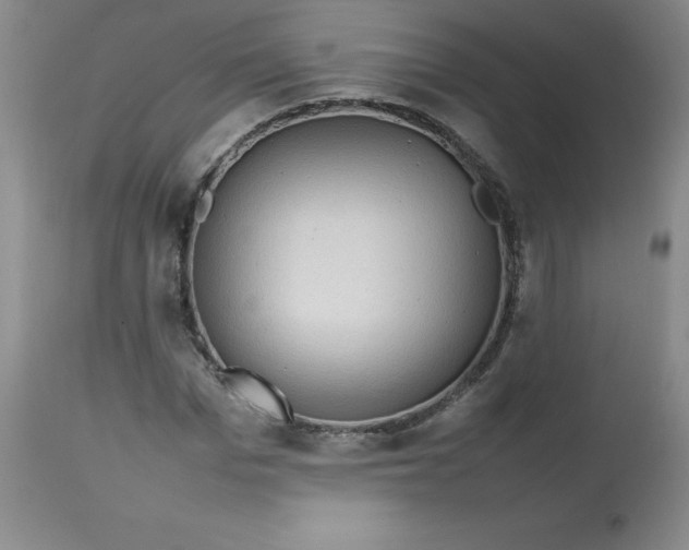 X0000112810969200909111256