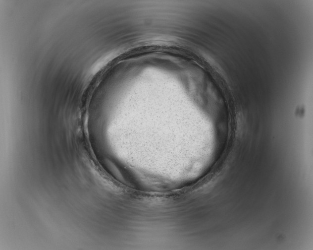 X0000112810970200909111256