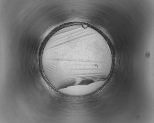 X0000112810972200909111256