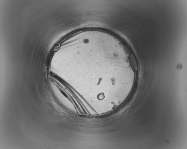 X0000112810973200909111256