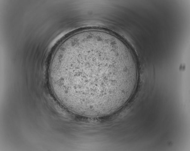 X0000112810975200909111256