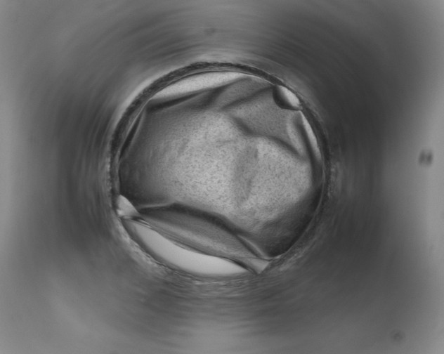 X0000112810976200909111255