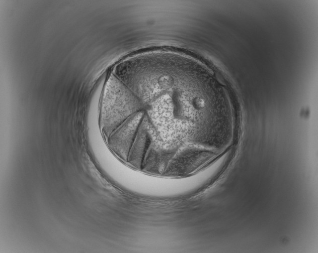 X0000112810977200909111255