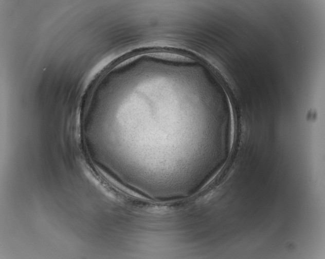 X0000112810982200909111255