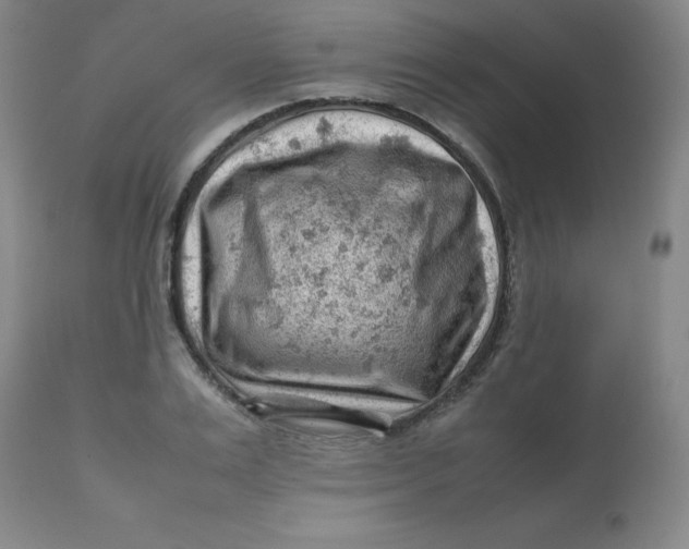 X0000112810983200909111255