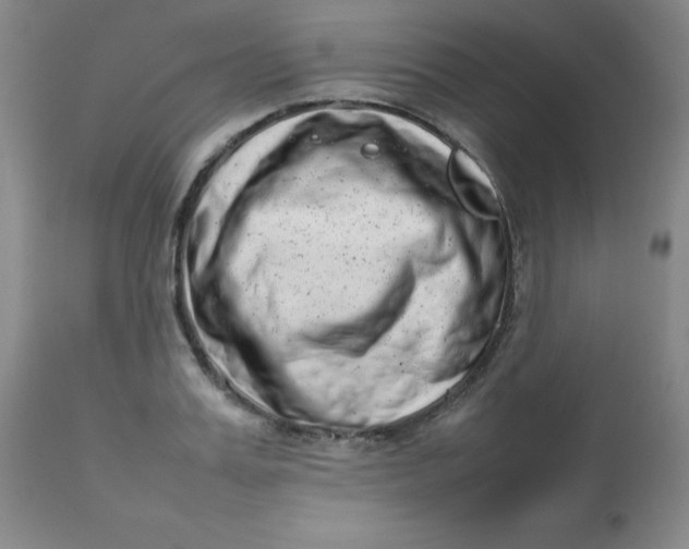 X0000112810987200909111255