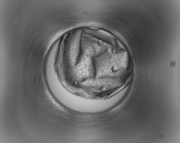 X0000112810989200909111255