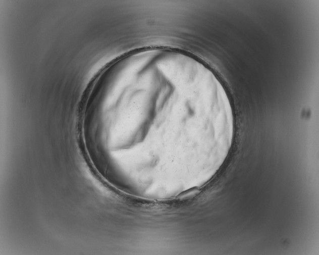 X0000112810991200909111255