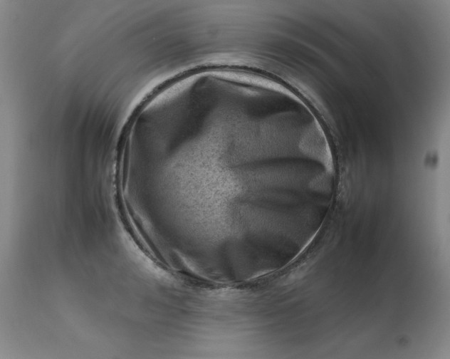 X0000112810992200909111255