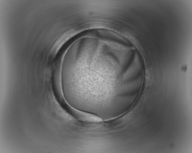 X0000112810993200909111255