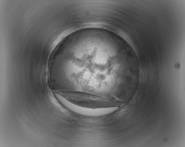 X0000112810994200909111255