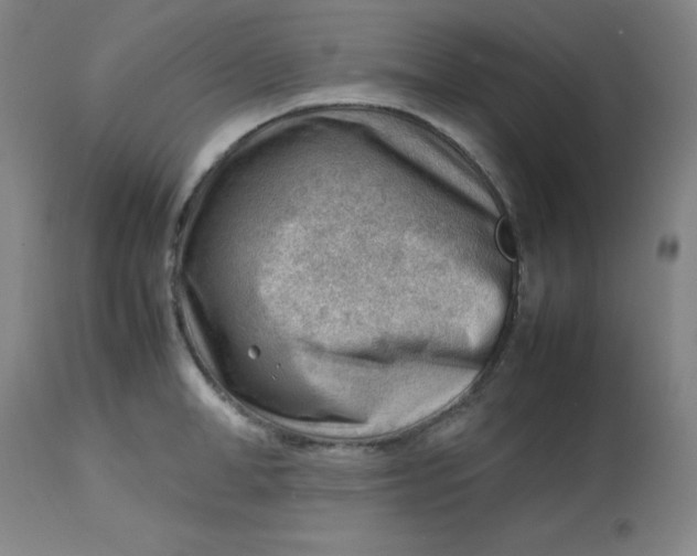 X0000112810998200909111255