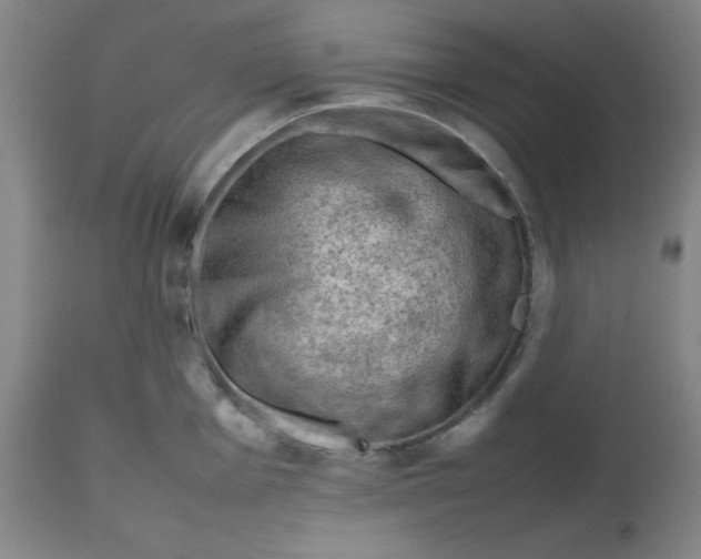 X0000112811001200909111255