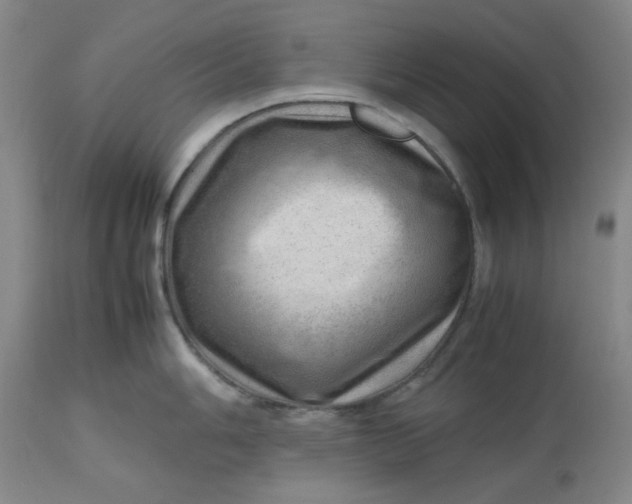 X0000112811006200909111255