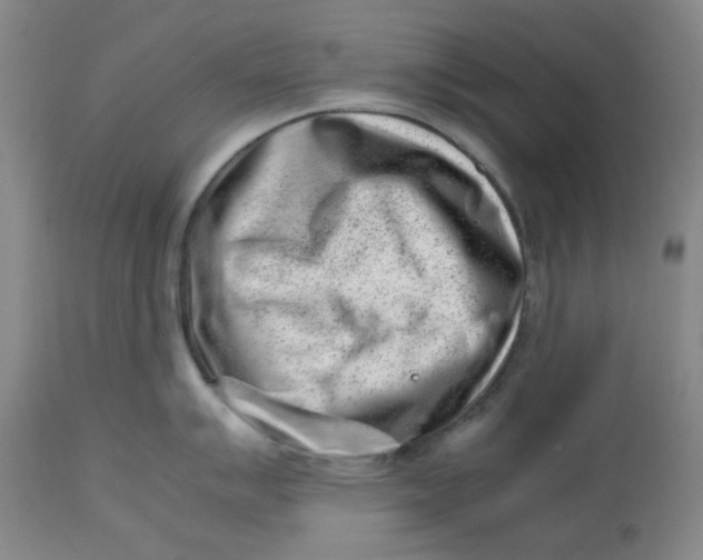 X0000112811007200909111255