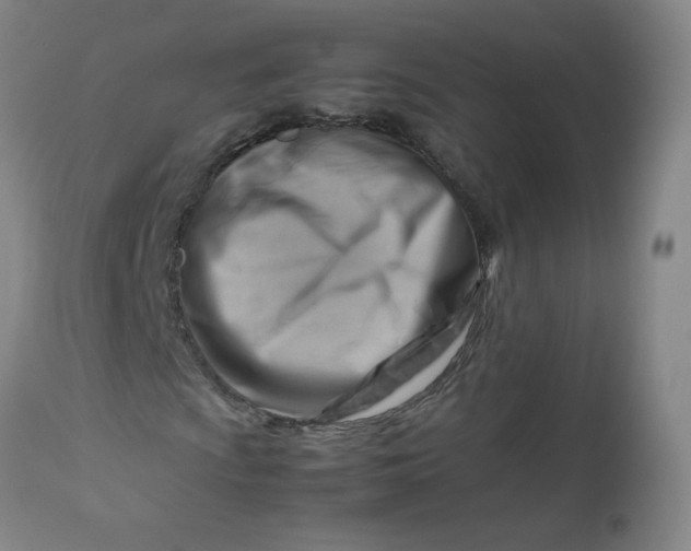 X0000112811009200909111254