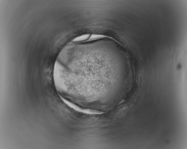 X0000112811010200909111254