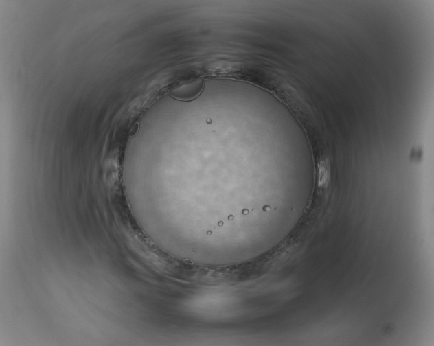 X0000112811011200909111254