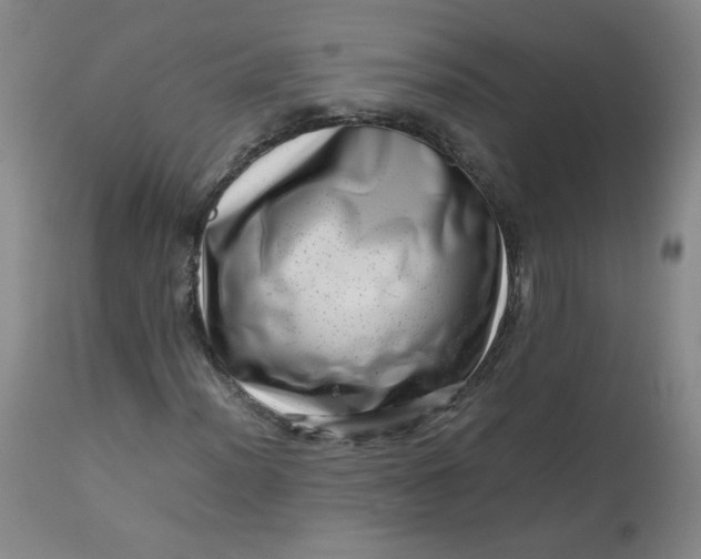 X0000112811012200909111254