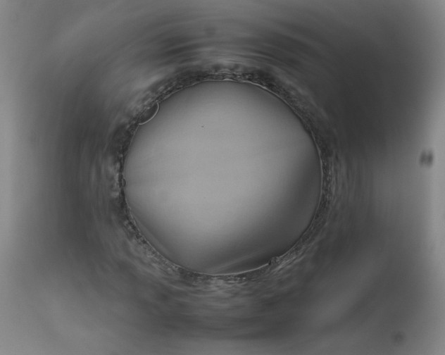 X0000112811013200909111254