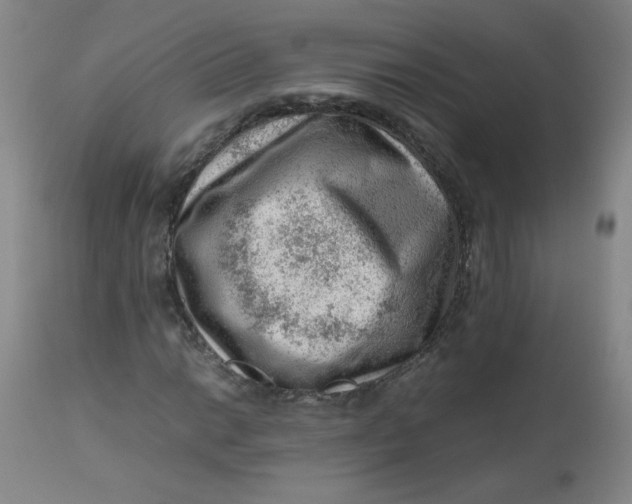 X0000112811014200909111254