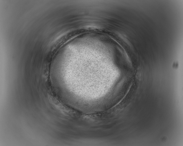 X0000112811015200909111254