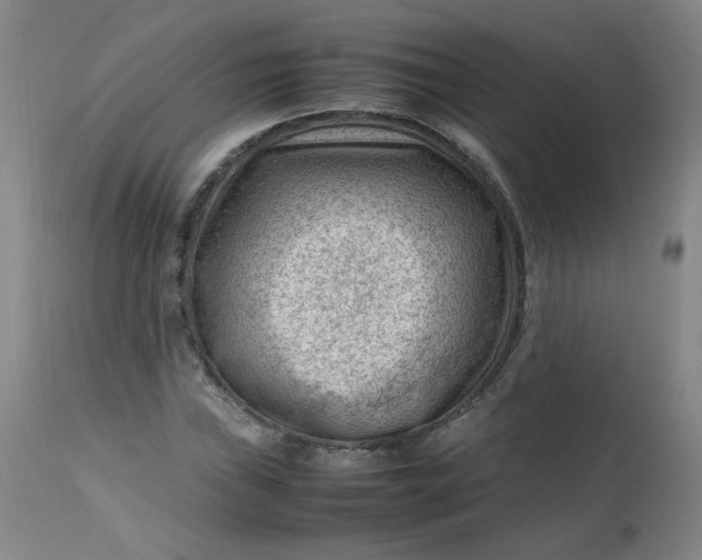 X0000112811019200909111255