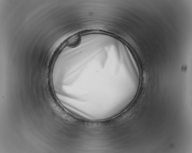 X0000112811020200909111255