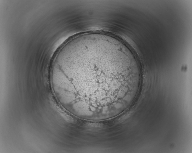 X0000112811023200909111255